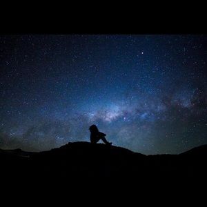 Meet your Posher, Rosie